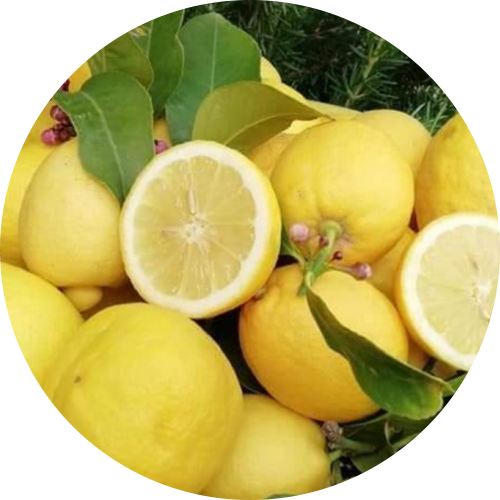 Limoni naturali 